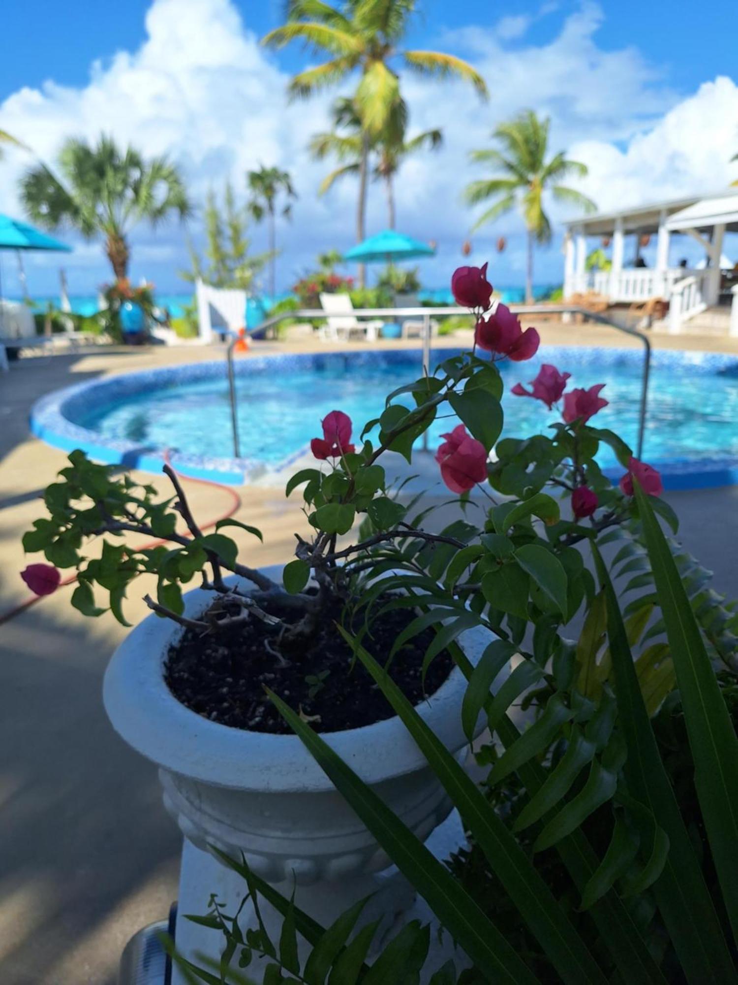 Sibonne Beach Hotel Grace Bay Eksteriør billede